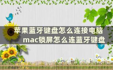 苹果蓝牙键盘怎么连接电脑 mac锁屏怎么连蓝牙键盘